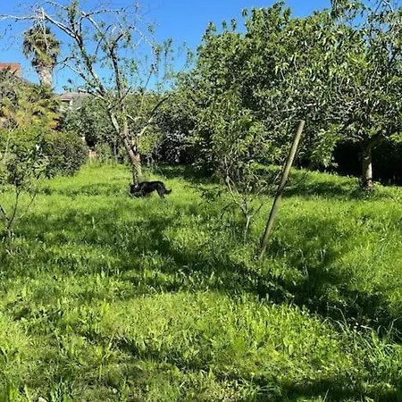 Casa vacanze Dreams Of Alaric Ordizan