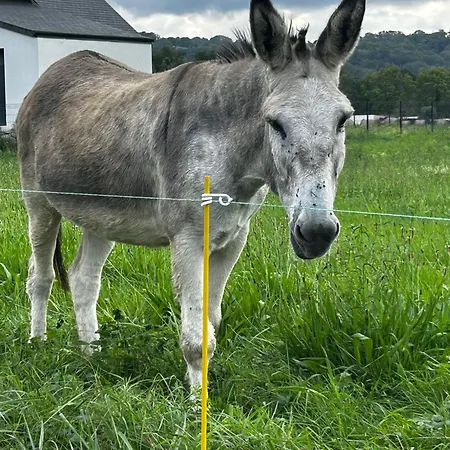 Casa vacanze Dreams Of Alaric