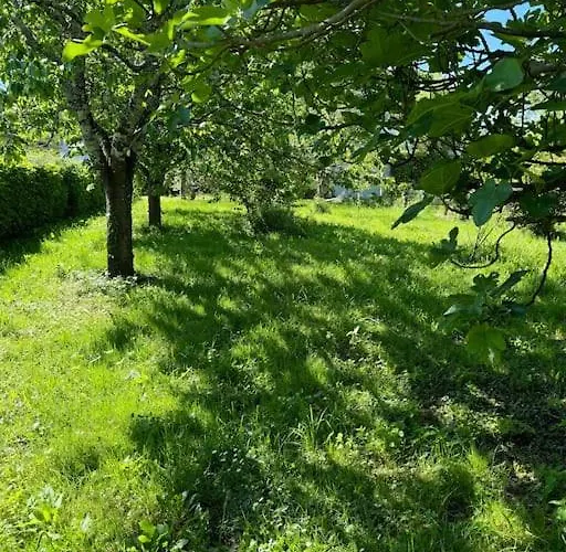 Dreams Of Alaric Maison De Charme Avec Piscine Aux Pieds Des Pyrenees Ideal Base Cyclists Exploring Legendary Climbs Dom wakacyjny