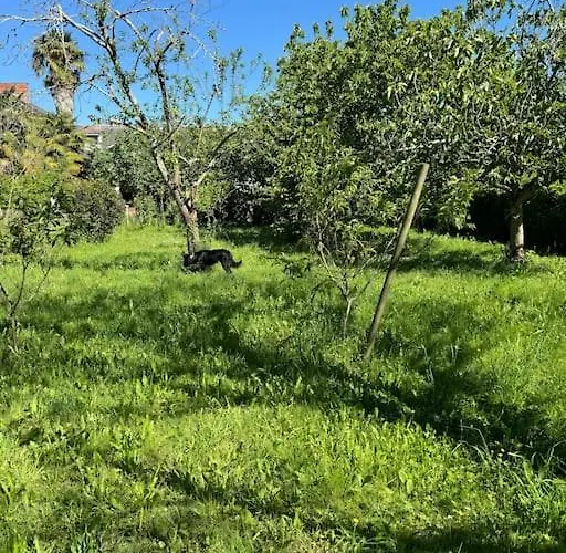 Dom wakacyjny Dreams Of Alaric Maison De Charme Avec Piscine Aux Pieds Des Pyrenees Ideal Base Cyclists Exploring Legendary Climbs Ordizan